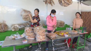 Hỗ trợ phụ nữ phát triển kinh tế, giảm nghèo