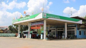 Petrolimex thoái vốn tại CTCP Vật liệu Xây dựng và Chất đốt Đồng Nai