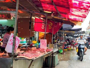 Giá heo xuống thấp, đề xuất nới lỏng rào cản để bán qua biên giới