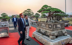 Mãn nhàn hàng ngàn tác phẩm Sinh Vật Cảnh tại Festival Sản phẩm Nông nghiệp và Làng nghề Hà Nội lần thứ hai năm 2022