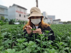 Sinh viên 'vào vai' nông dân kiếm tiền tiêu Tết