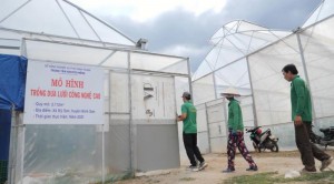 Ninh Thuận dành gần 5 tỷ đồng thu hút nhân tài ngành kinh tế trọng điểm giai đoạn 2022-2025