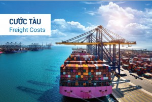 Công ty chuyên về dịch vụ Logistics miền nam - VTA VIETNAM