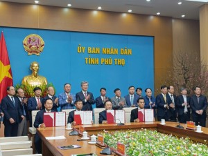 dn hàn quốc