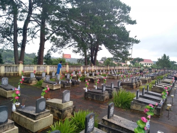 37684203 2200779670209100 2135663361130496000 N 1